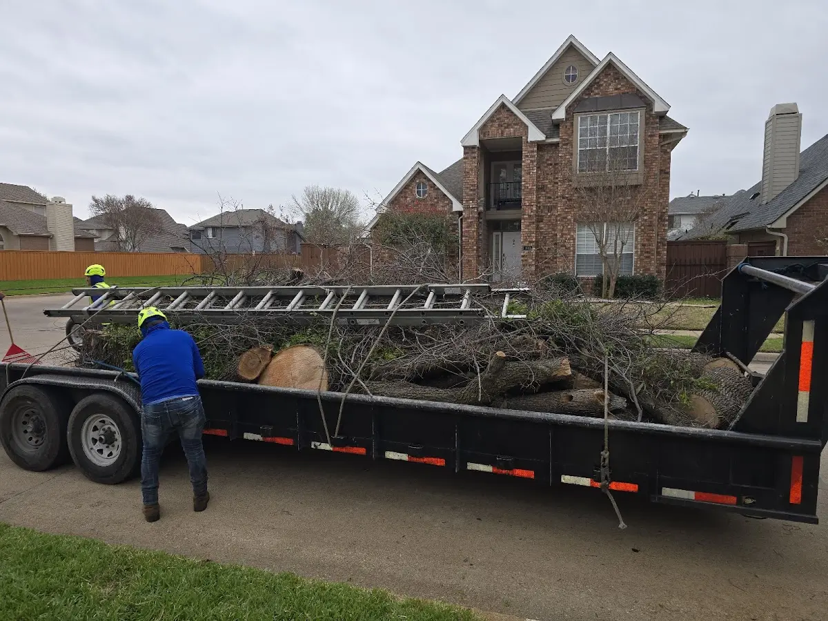 Expert Lot Clearing with proper safety equipment in Teague